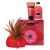 Kamasutra Treasure Trove Strawberry Massageset
